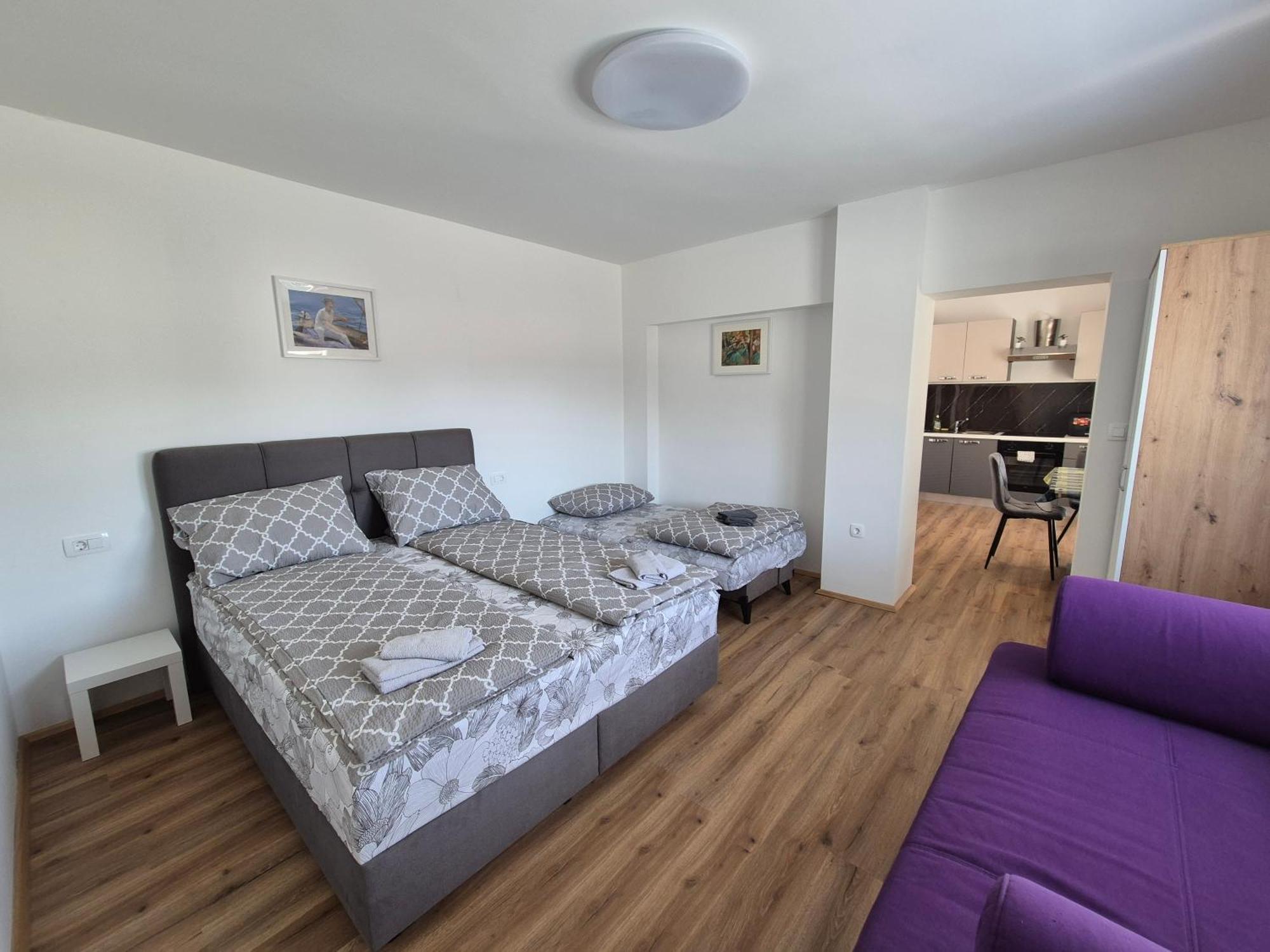 Appartement Vojkova *
